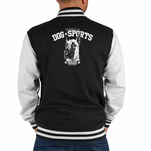 Herren college jacke - college,